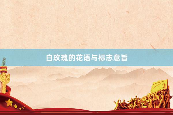 白玫瑰的花语与标志意旨